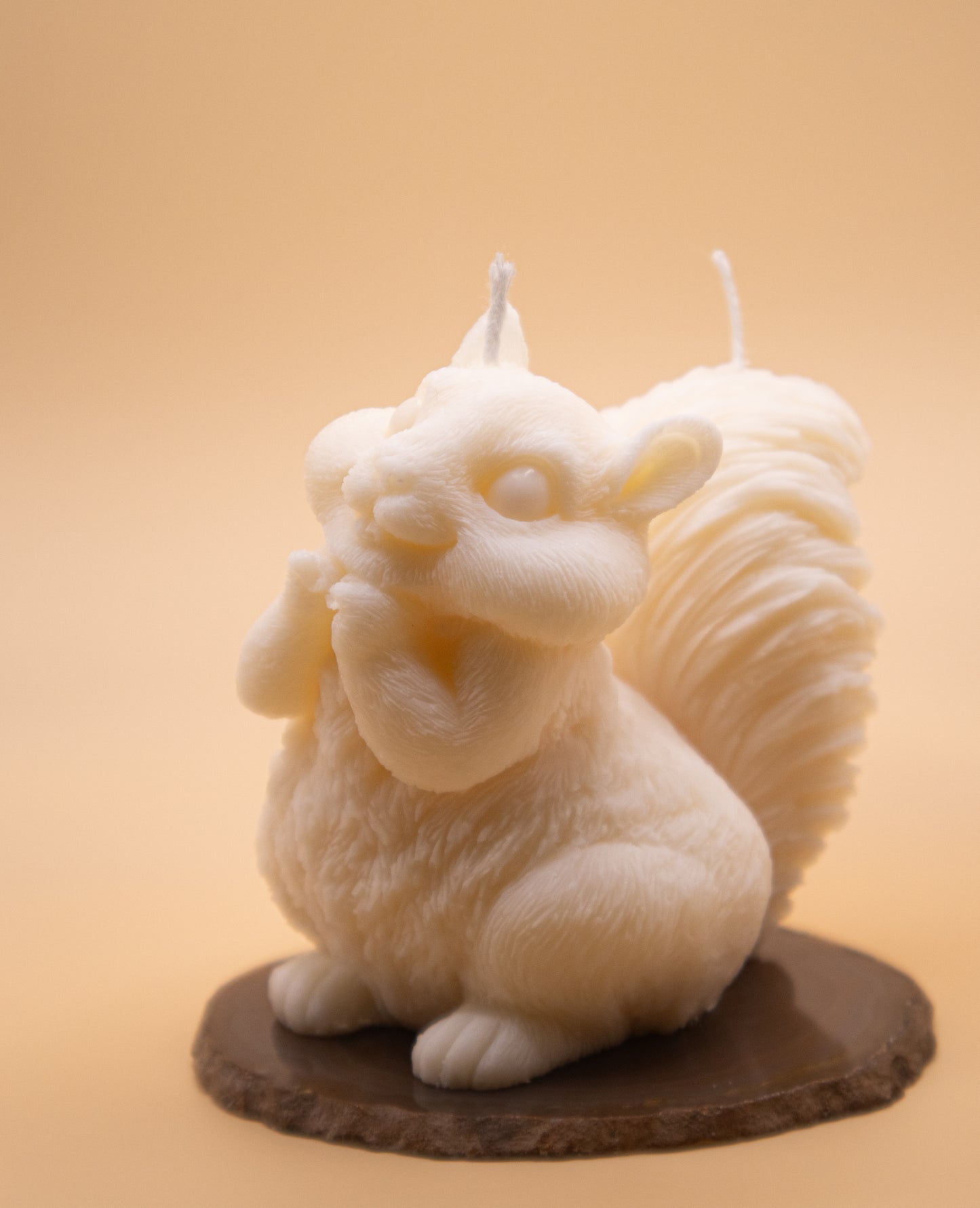Écureuil Mignon