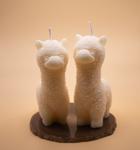 Petit Lama